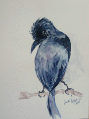 Blauer Vogel